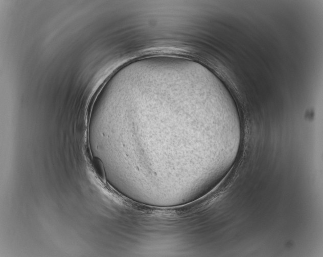 X0000114200844200910231341