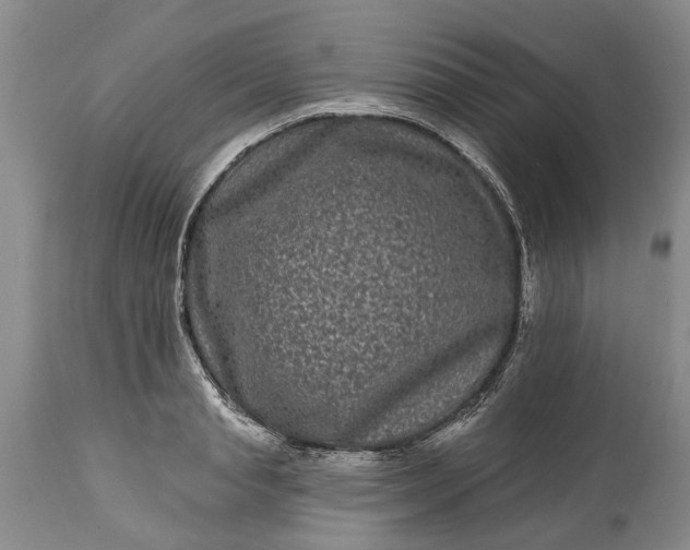 X0000114200845200910231341