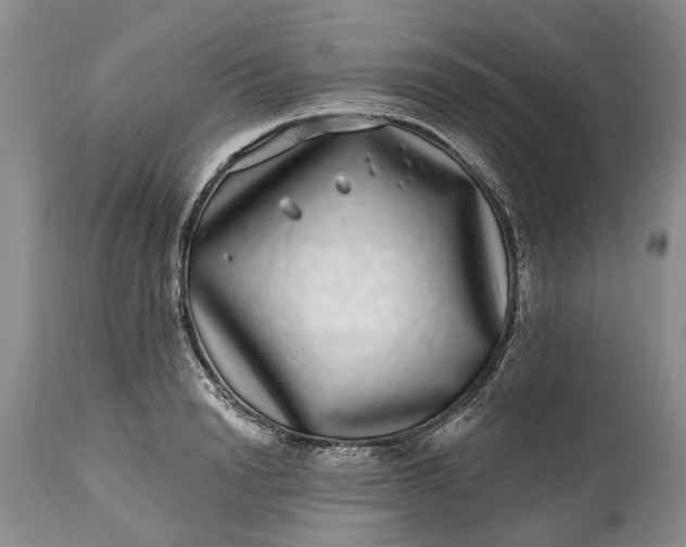 X0000114200846200910231341