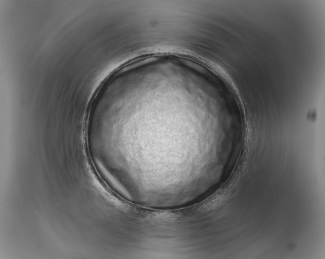 X0000114200847200910231341