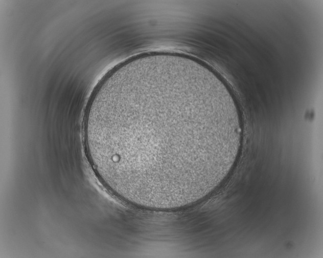 X0000114200848200910231341