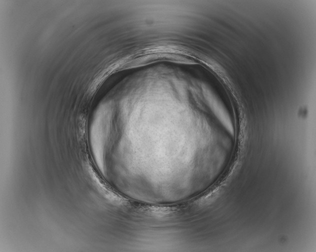 X0000114200849200910231342