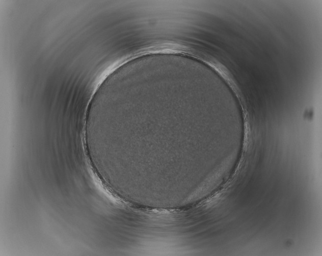 X0000114200850200910231342