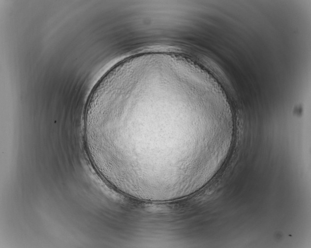 X0000114200852200910231342