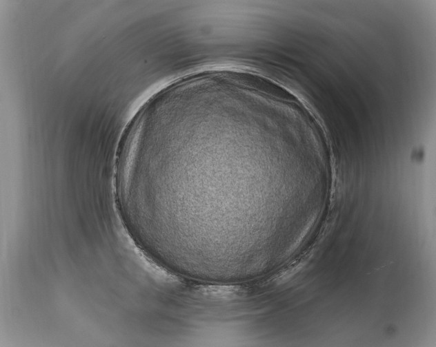 X0000114200853200910231342