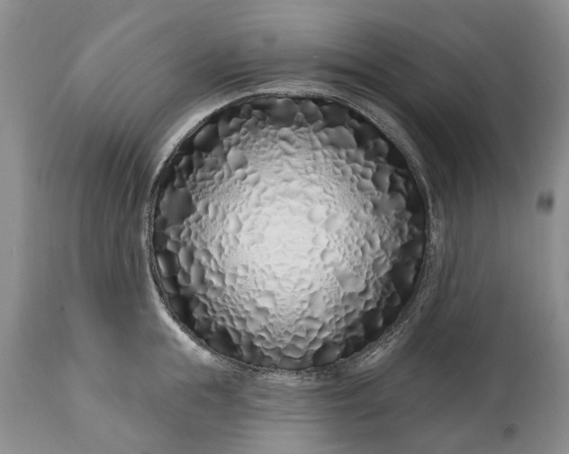 X0000114200855200910231342