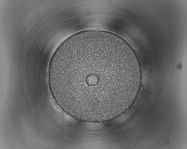 X0000114200856200910231342