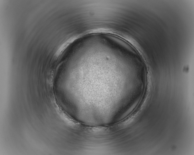 X0000114200857200910231342