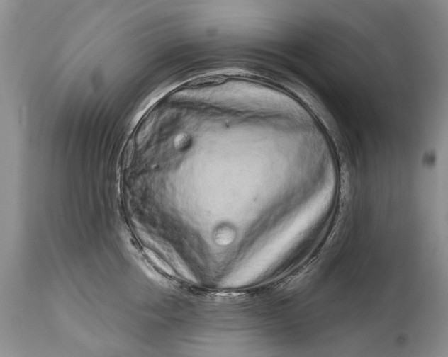 X0000114200858200910231342