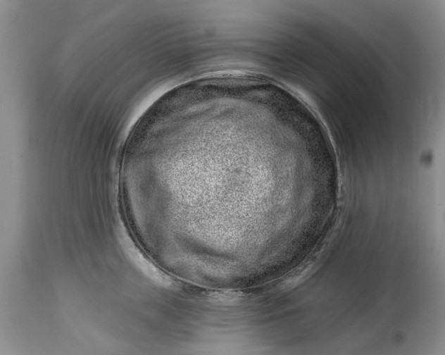 X0000114200859200910231342