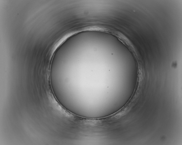 X0000114200860200910231342