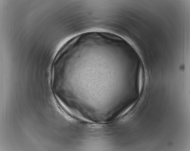 X0000114200862200910231342