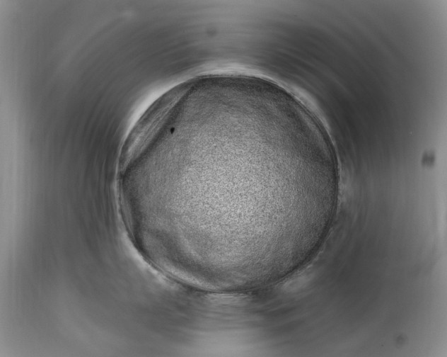 X0000114200863200910231342