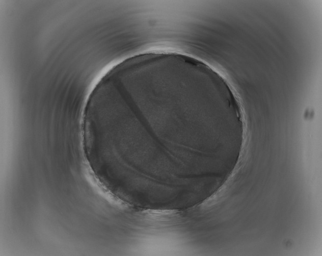 X0000114200864200910231342