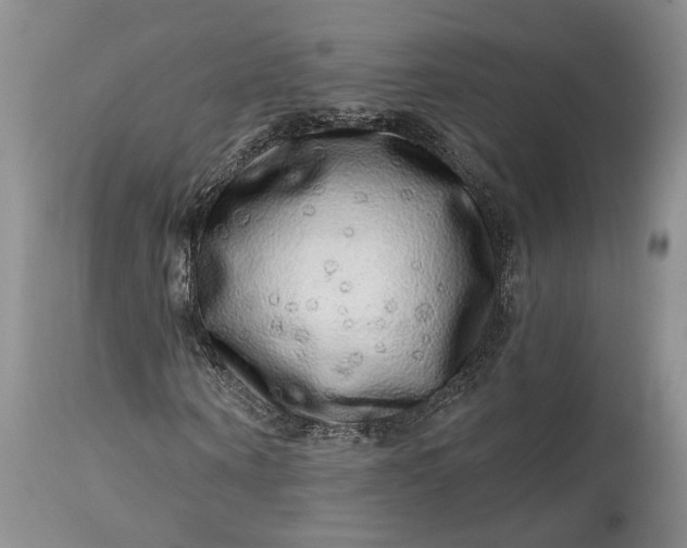 X0000114200866200910231341