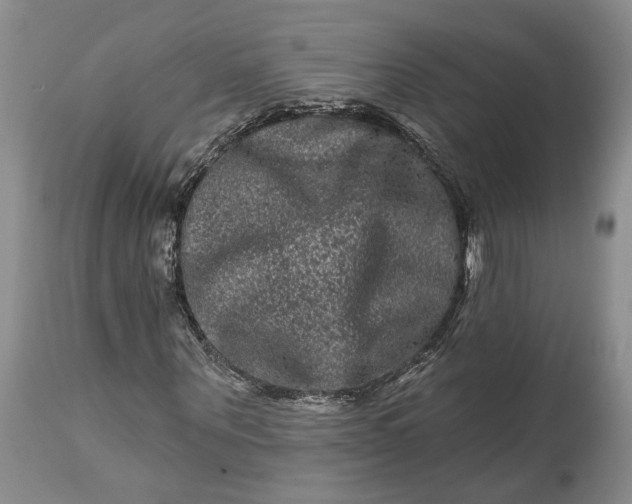 X0000114200867200910231341