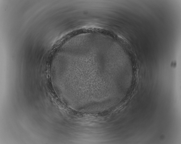 X0000114200870200910231341