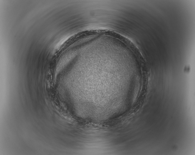 X0000114200871200910231341