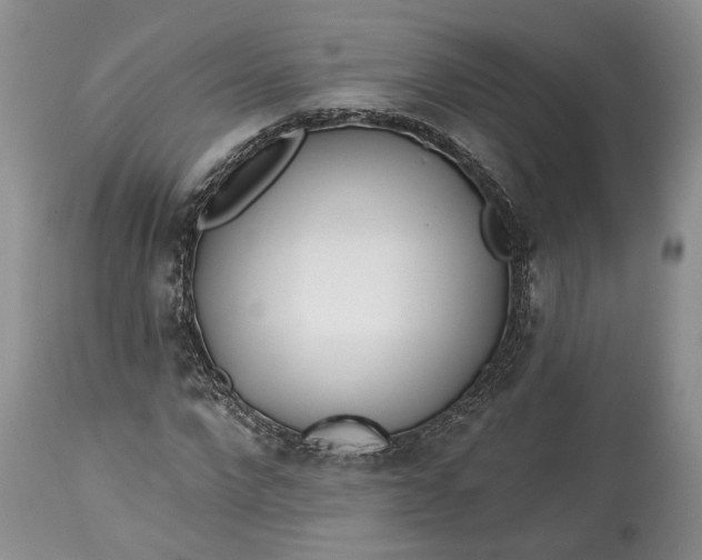 X0000114200872200910231341