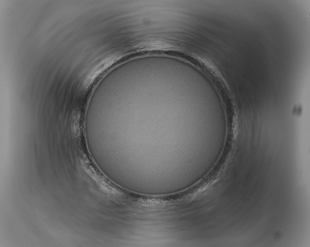 X0000114200873200910231341