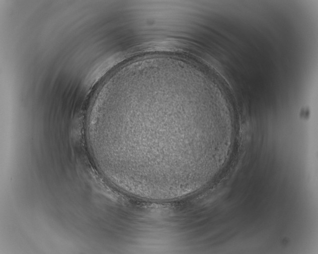 X0000114200874200910231341