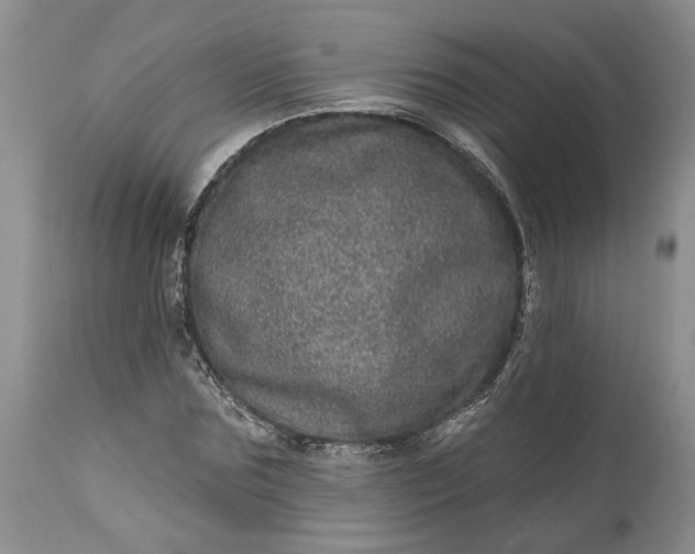 X0000114200875200910231341