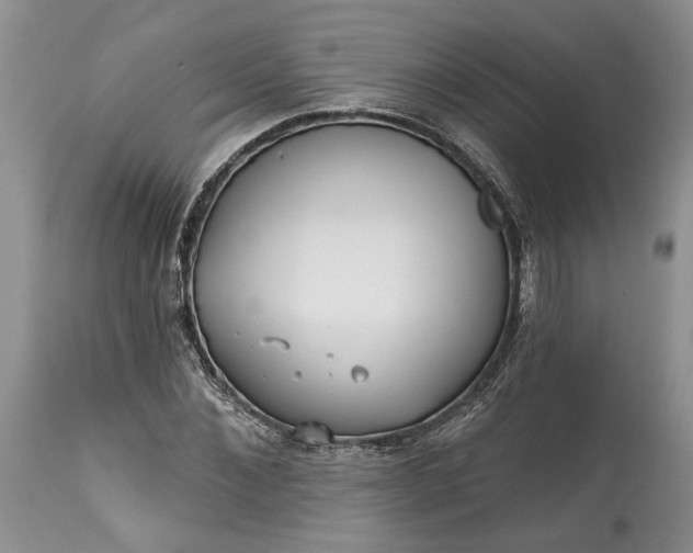 X0000114200876200910231341