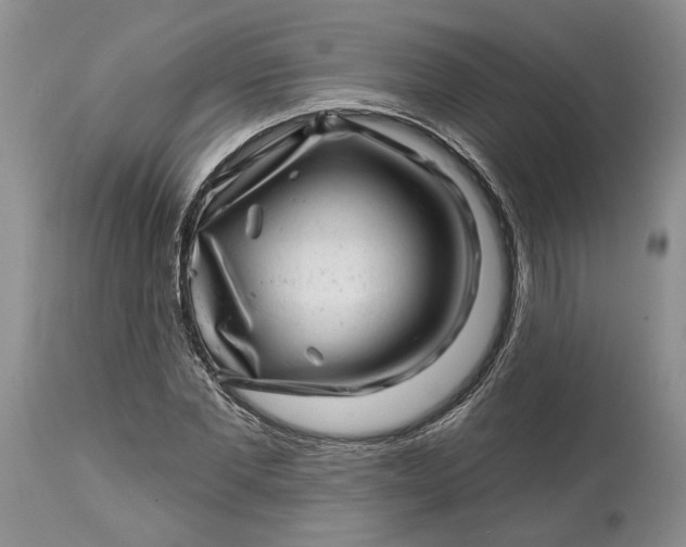 X0000114200877200910231341