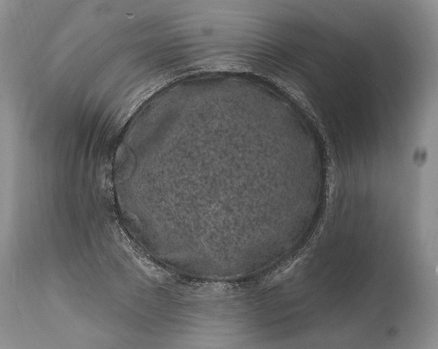 X0000114200881200910231341