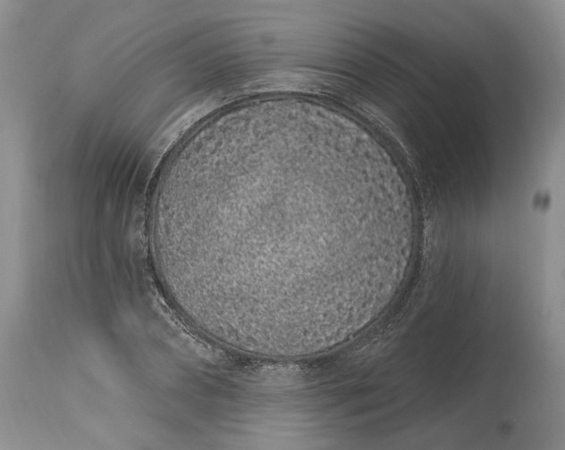 X0000114200882200910231341