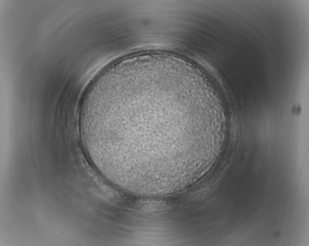 X0000114200886200910231341