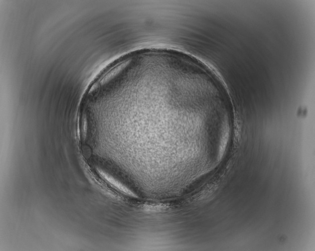 X0000114200887200910231341