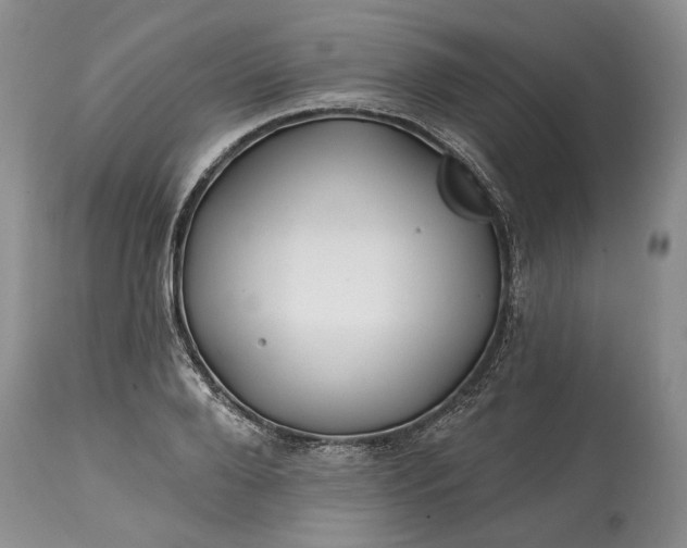 X0000114200888200910231341