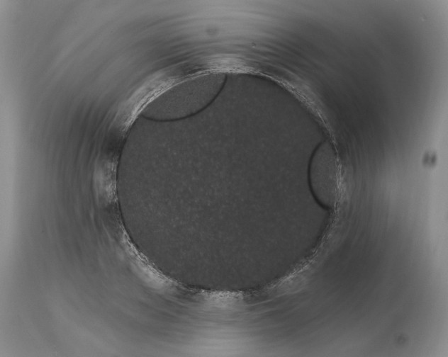 X0000114200889200910231341