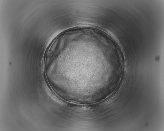 X0000114200891200910231341