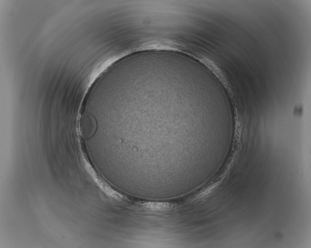 X0000114200893200910231340