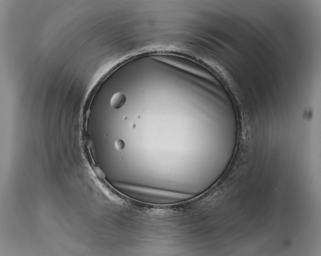 X0000114200894200910231340