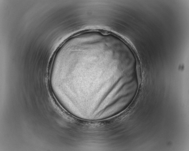 X0000114200895200910231340