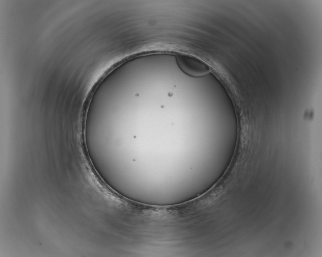 X0000114200896200910231340