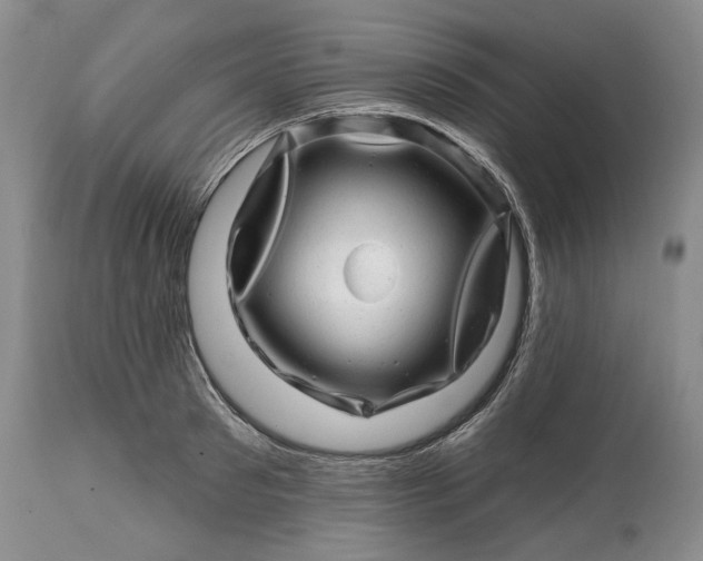 X0000114200897200910231340