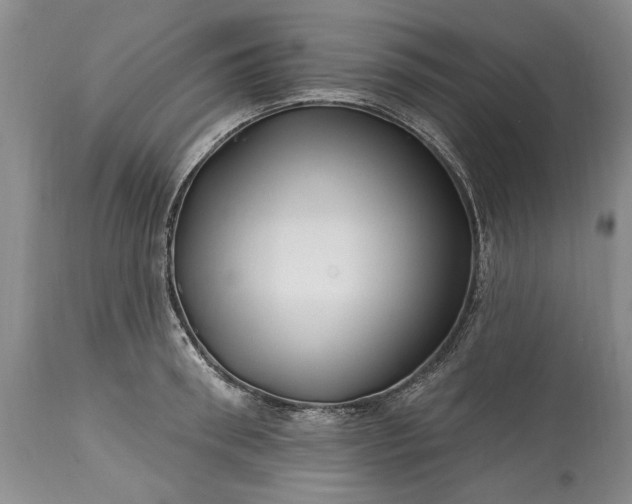 X0000114200898200910231340