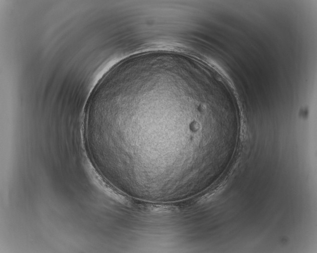 X0000114200899200910231340