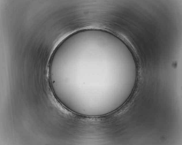 X0000114200900200910231340