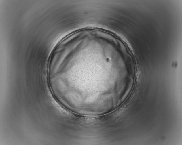 X0000114200903200910231340