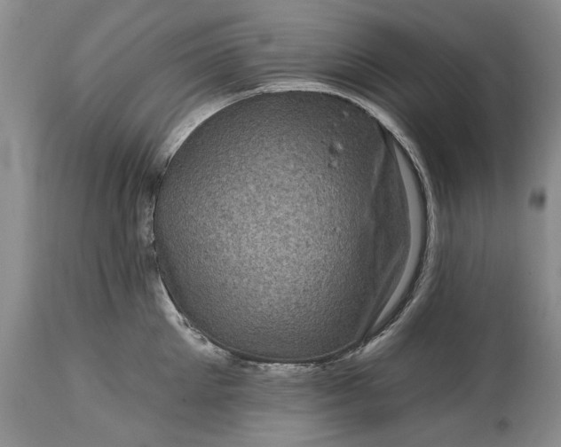 X0000114200905200910231340