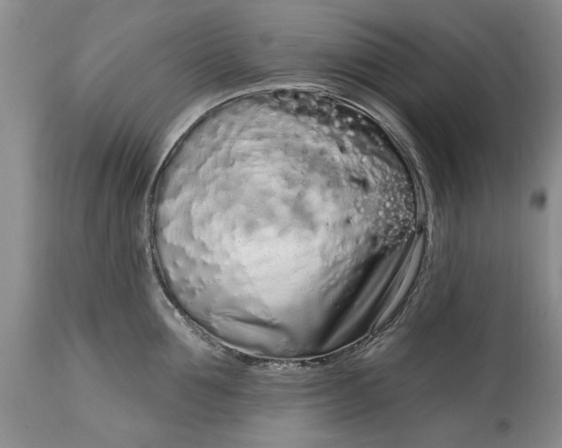 X0000114200907200910231340