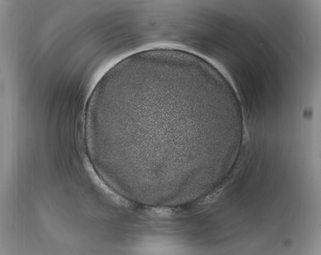 X0000114200911200910231340