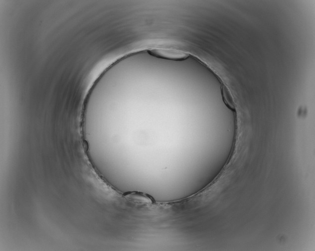 X0000114200912200910231340