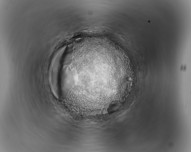 X0000114200913200910231340