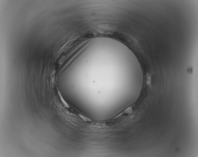 X0000114200915200910231340